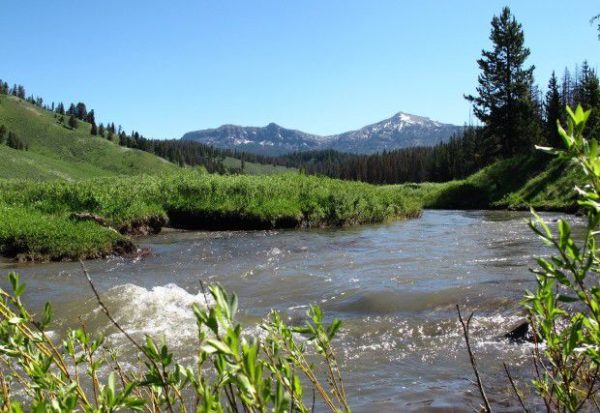 Public Lands Unite Us – Gallatin Forest Partnership