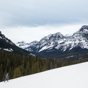 Businesses, Recreation, Conservation Groups Celebrate Custer Gallatin Forest Plan