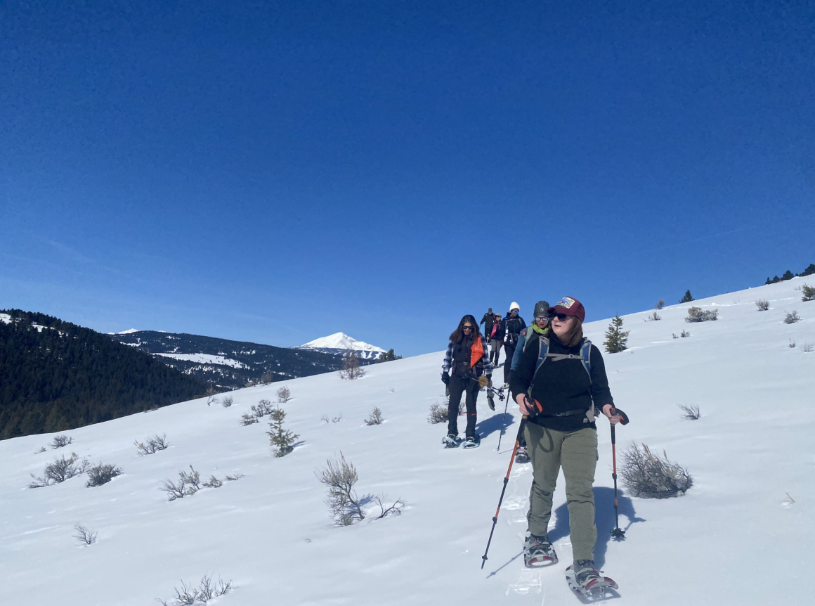 A Snowshoe Along Porcupine Creek