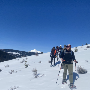 A Snowshoe Along Porcupine Creek