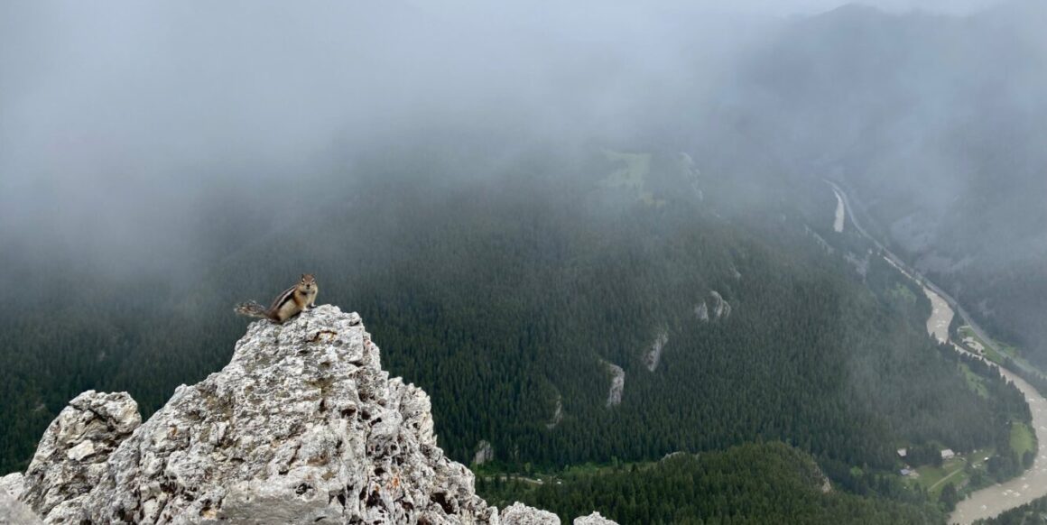 Beyond Hyalite: Exploring the Gallatin and Madison Ranges