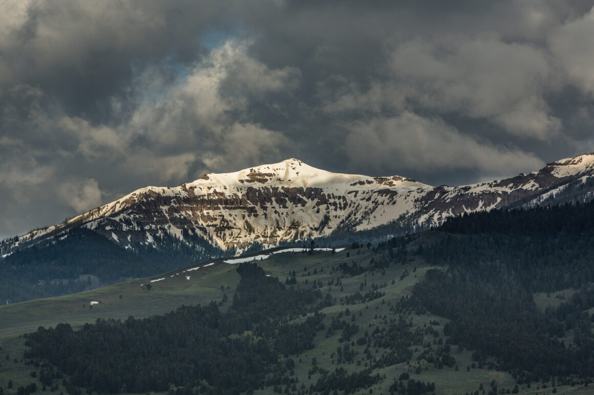 Spring Events with the Gallatin Forest Partnership