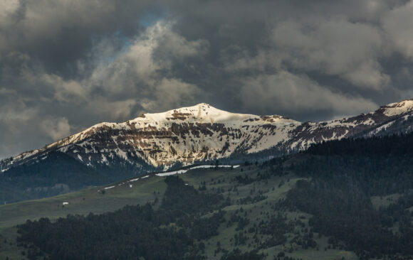 Spring Events with the Gallatin Forest Partnership