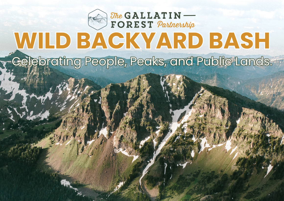 Wild Backyard Bash: Celebrating People, Peaks, and Public Lands